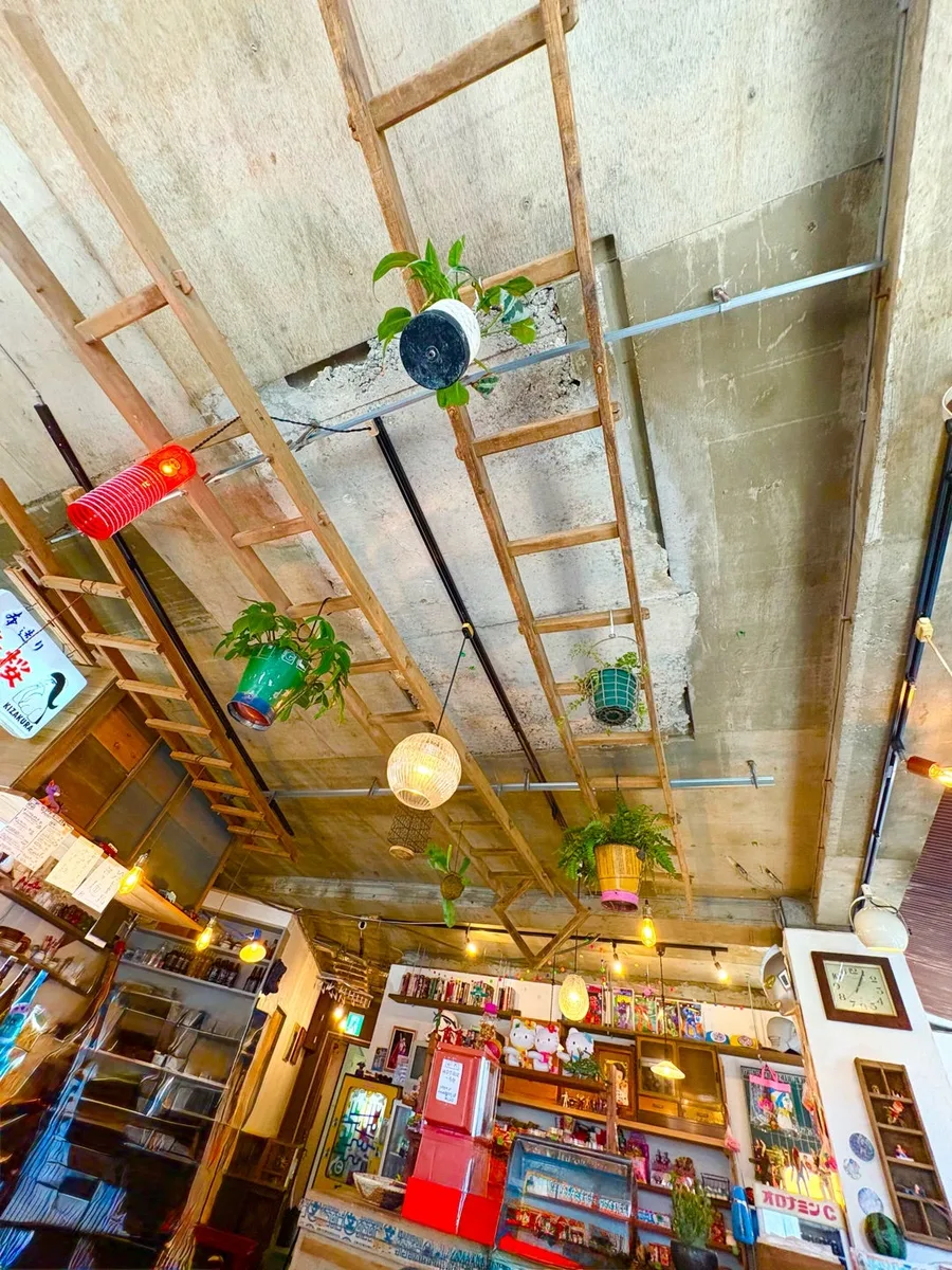 はしごと植物が並ぶ天井
